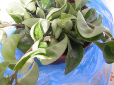 DSCN2739.JPG