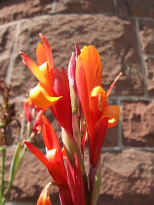 DSCF4149.JPG