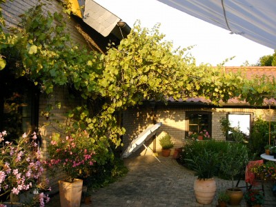 weinAug09 005.JPG