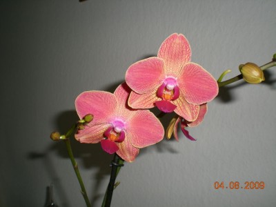 DSCN52590001.JPG