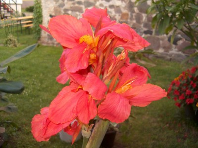 HPIM6193.JPG