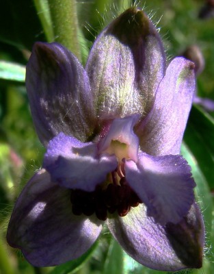 na wer bin ich stufe2.jpg