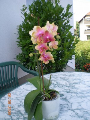 DSCN52660001.JPG
