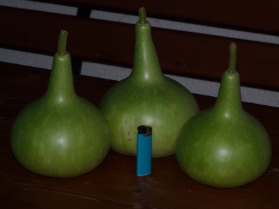 P1040043(1).JPG
