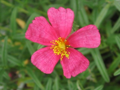 IMG_6425.JPG