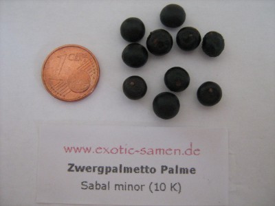 Samen 07.08.2009.jpg