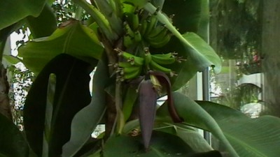 IMGA0279.JPG