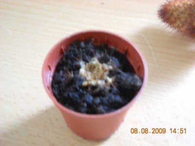 Paulina 084.JPG