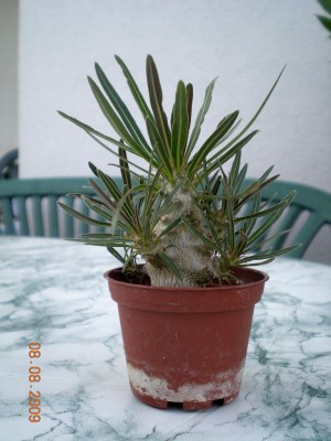 DSCN52810001.JPG