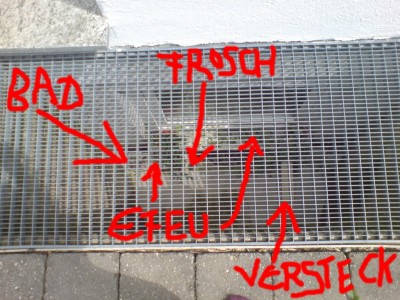 FROSCH-hotel.jpg