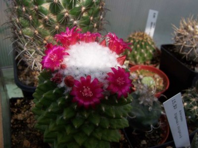 100_5061.JPG