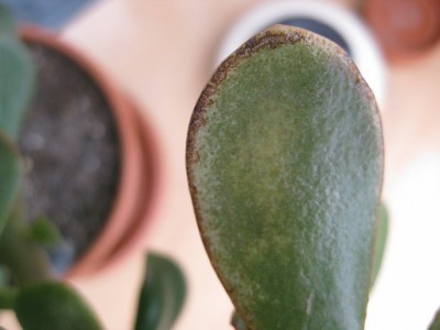 Bild 043_1067x800.jpg