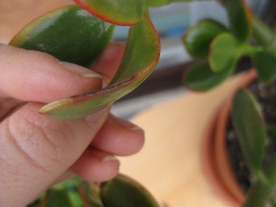 Bild 042_1067x800.jpg