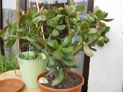 Bild 060_1400x1050.jpg