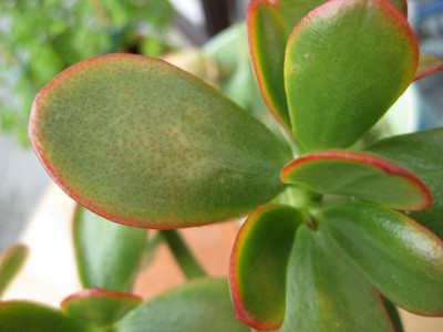 Bild 063_1400x1050.jpg