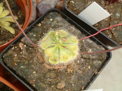 Bülder (2).jpg