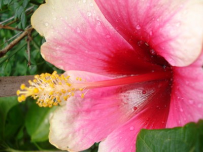 August 2009 045.jpg