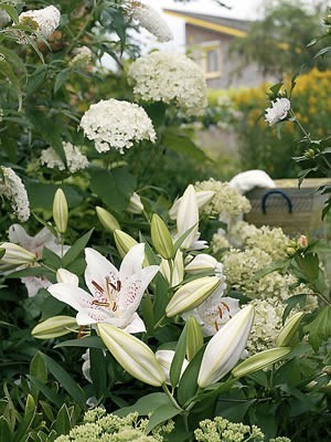 frischekur-garten.jpg