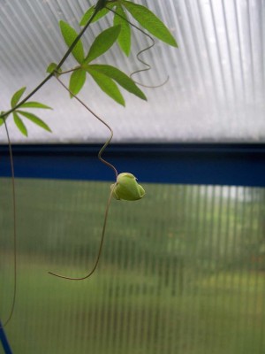100_5078.JPG