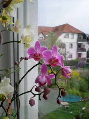 DSCN53020001.JPG