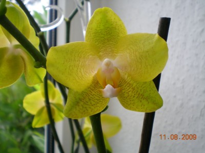 DSCN53010001.JPG