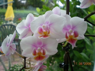 DSCN53000001.JPG