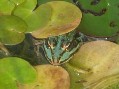 IMG_8063.JPG