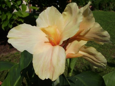 PICT0100.JPG