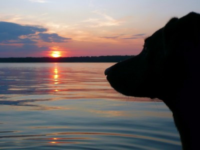 2009-08-09 075klein.jpg