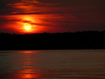 2009-08-09 074klein.jpg