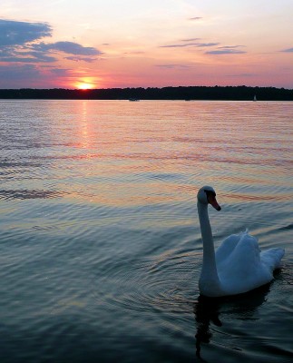 2009-08-09 084klein.jpg