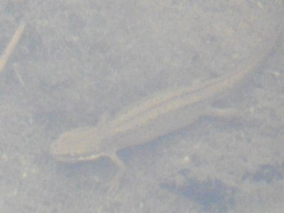 IMGP0143_Bildgröße ändern.JPG