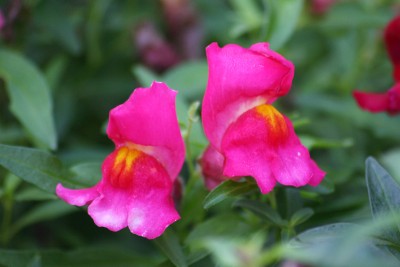 IMG_7477_passig.jpg