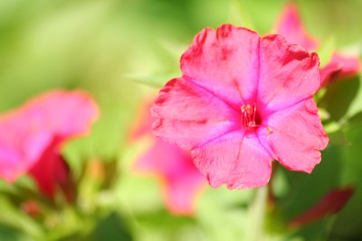 IMG_7469_passig.jpg