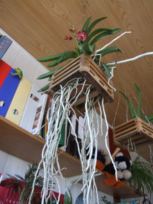 DSCF4212.JPG
