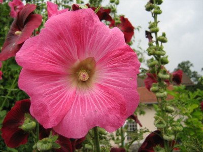 IMG_2976klein.jpg