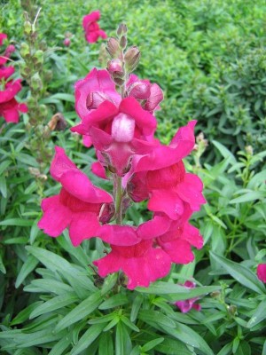 IMG_2973klein.jpg