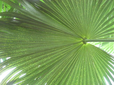 aIMG_0707.JPG