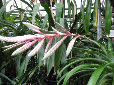 aIMG_0694.JPG
