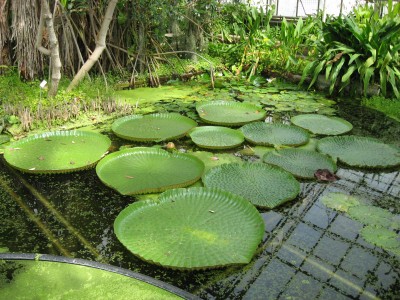 aIMG_0692.JPG