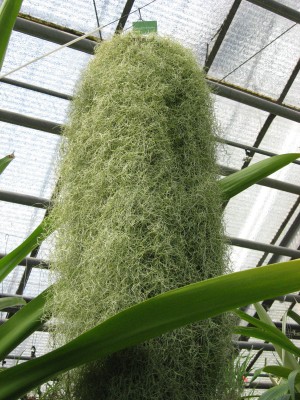 aIMG_0691.JPG