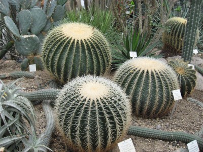 aIMG_0725.JPG