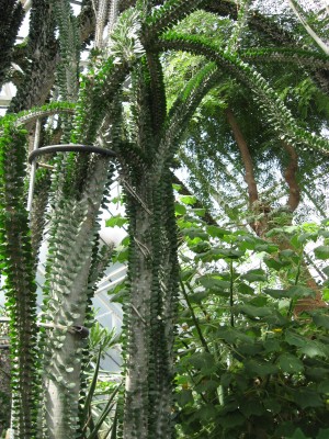 aIMG_0723.JPG
