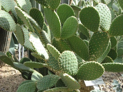 aIMG_0719.JPG