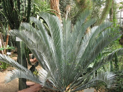 aIMG_0713.JPG