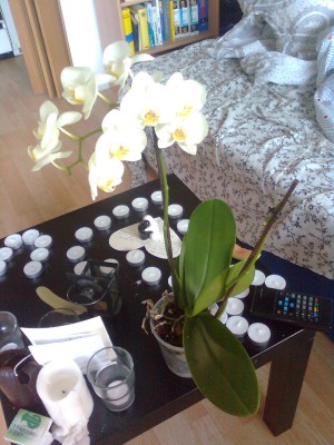 Bild0481.jpg