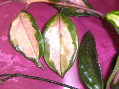 BILD0575.JPG