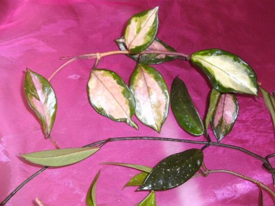 BILD0574.JPG