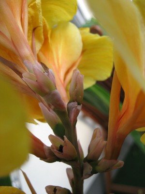 IMG_8540.JPG
