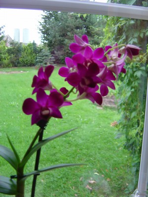 DSC03423.JPG